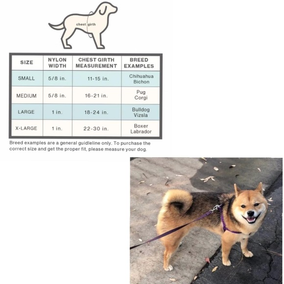 Set of 2 Adjustable Step In Nylon Small Dog Breed Harness with Buckle Closure - Picture 4 of 16